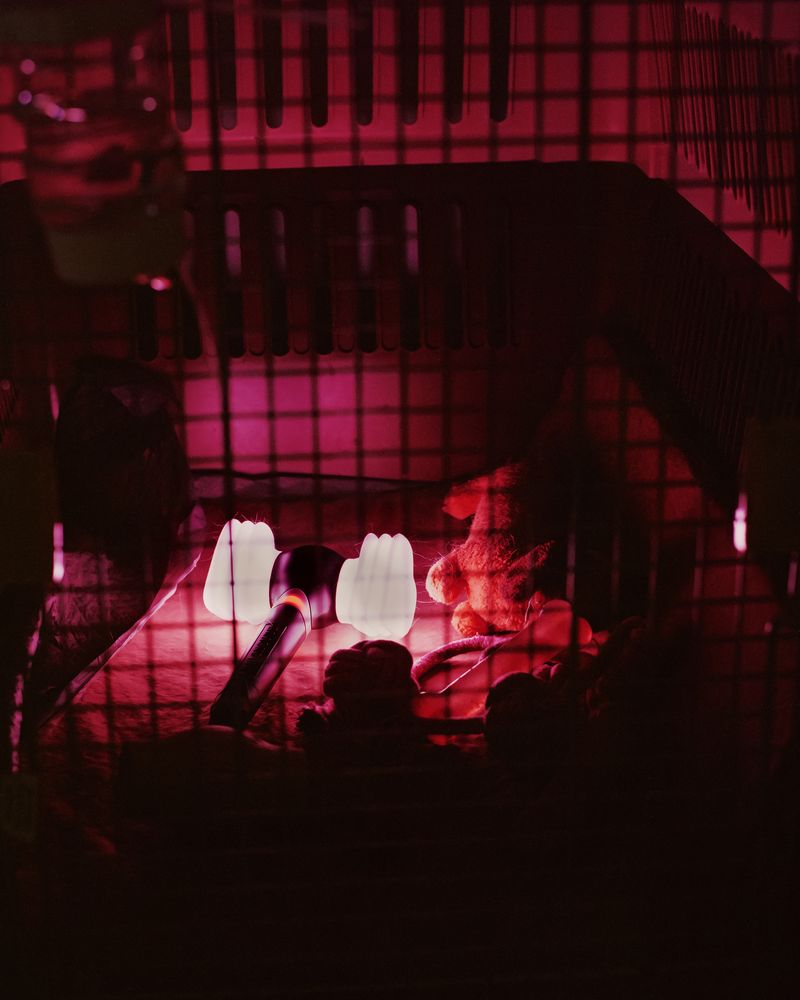 © minjue - Lightstick, 2025