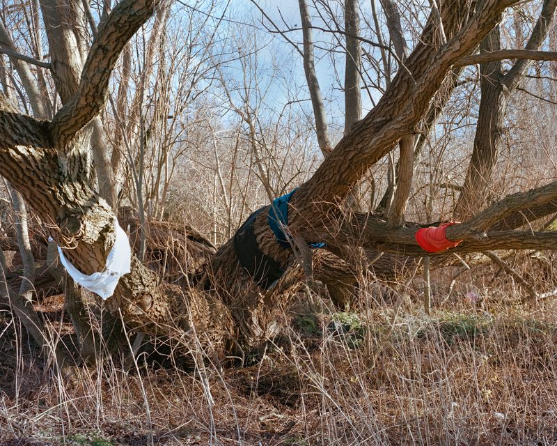 © minjue - Cuddling, 2025