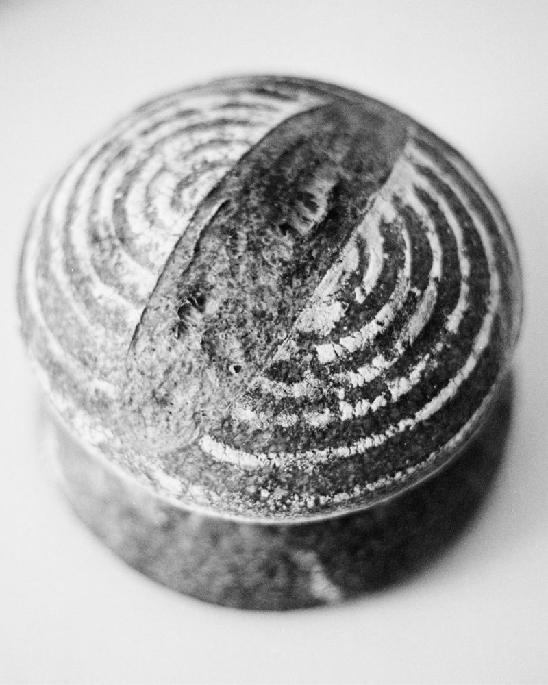 © Benedetta Stefani - diaristic serie, where I documented my journey in bread-making throughout the year