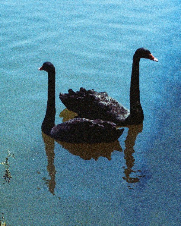 © Trevor Clement - Image from the DOUBLE HELL photography project