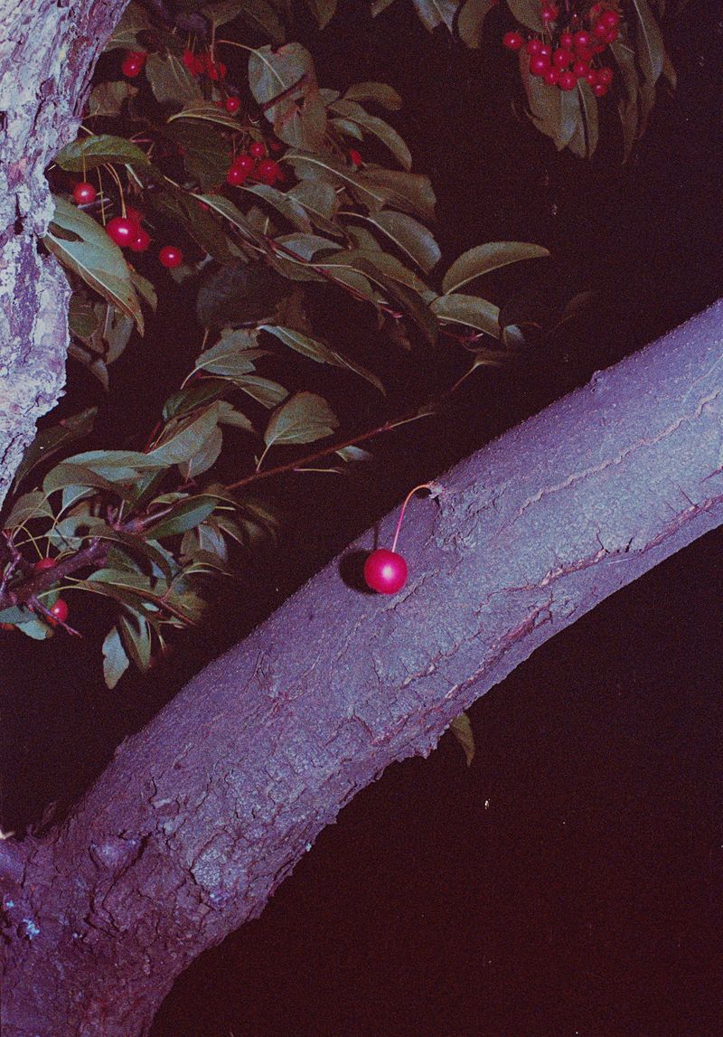 © Trevor Clement - Image from the DOUBLE HELL photography project