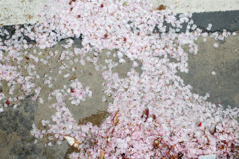 © Eunhye Na - Accumulation without unity, Digital photograph, 2025