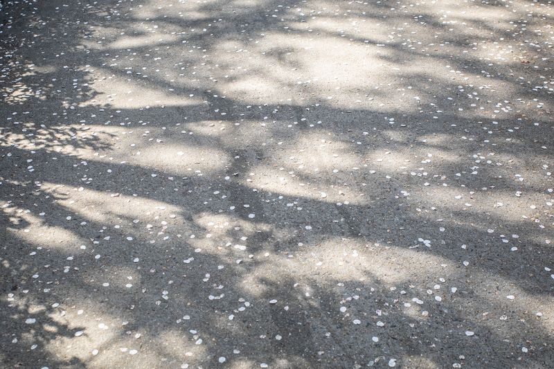 © Eunhye Na - Perception shifts on the ground, Digital photograph, 2026