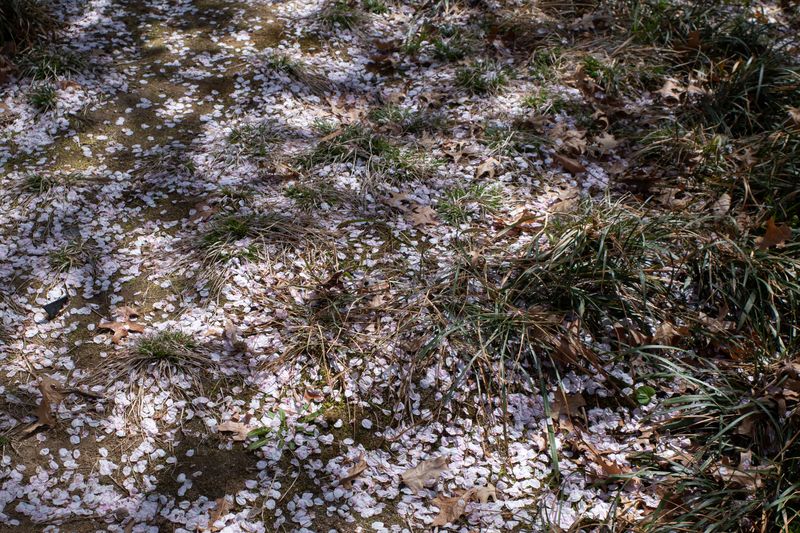 © Eunhye Na - Light and shadow connect what is apart, Digital photograph, 2026