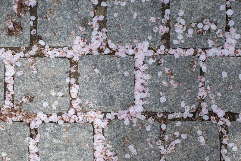 © Eunhye Na - Separation held within a single field, Digital photograph, 2026