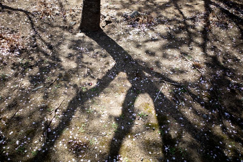 © Eunhye Na - Scattered forms begin to hold a quiet rhythm, Digital photograph, 2026