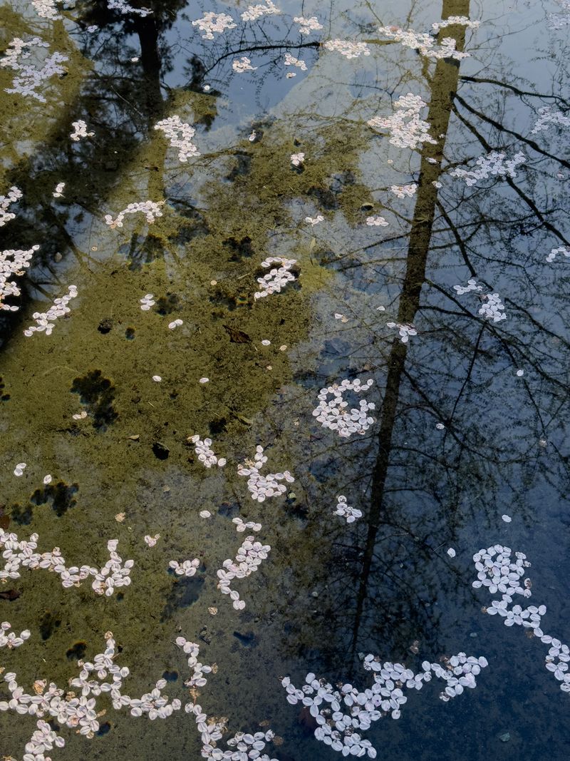 © Eunhye Na - Floating distances form a pattern, Digital photograph, 2026