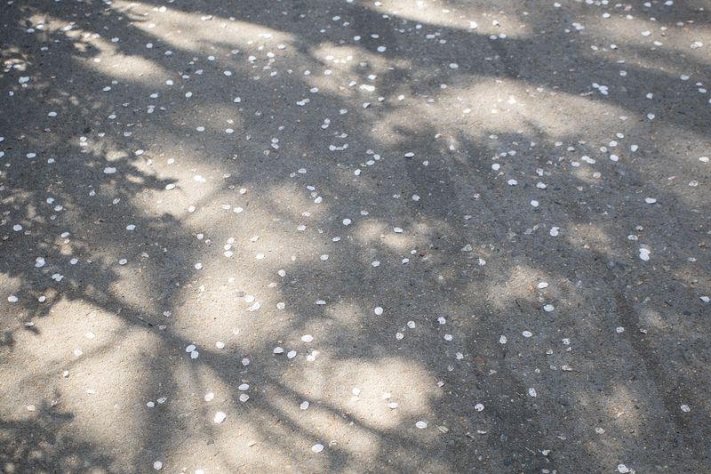 © Eunhye Na - A dispersed structure, quietly complete, Digital photograph, 2026