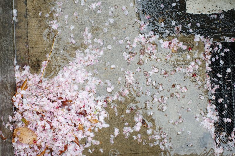 © Eunhye Na - A surface formed by distance, Digital photograph, 2025