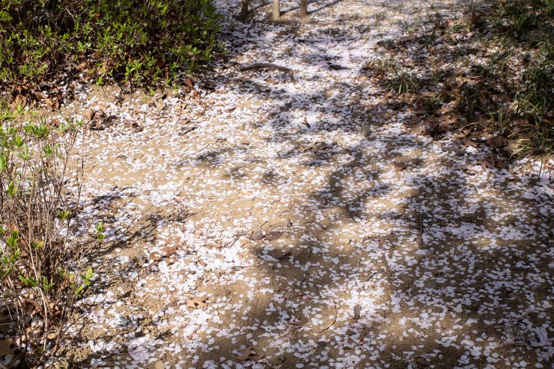 © Eunhye Na - What gathers begins to spread, Digital photograph, 2026