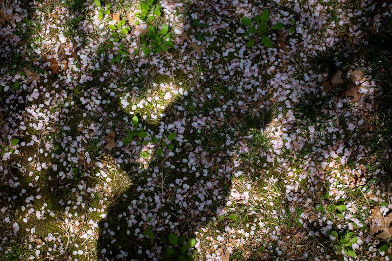 © Eunhye Na - Light briefly gathers what remains apart, Digital photograph, 2026