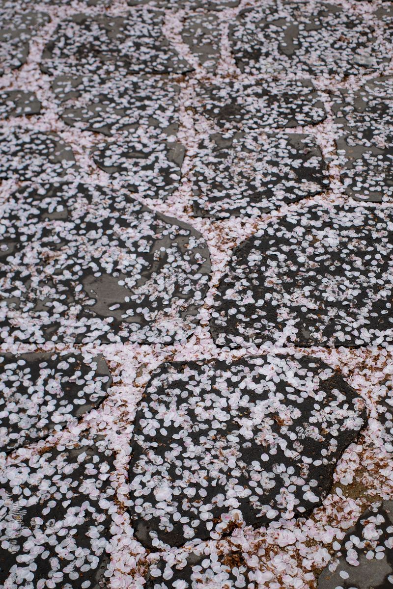 © Eunhye Na - Image from the What Remains photography project