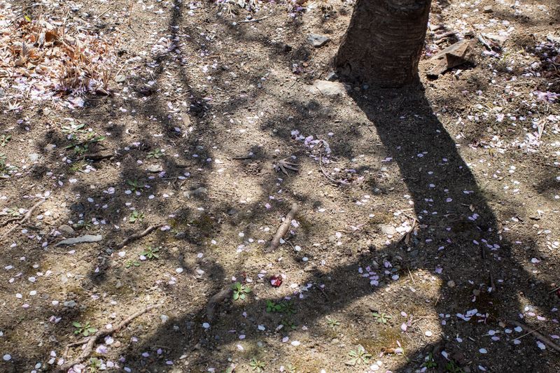 © Eunhye Na - What remains becomes barely visible, yet continues, Digital photograph, 2026