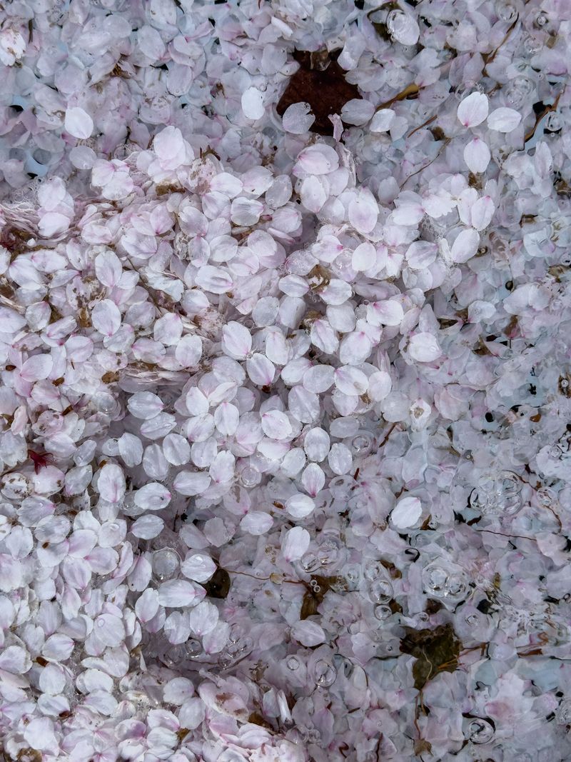 © Eunhye Na - Barely remaining, still in relation, Digital photograph, 2026