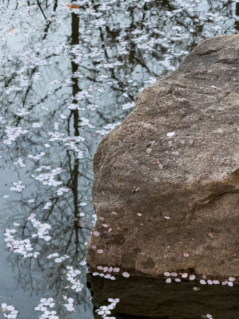 © Eunhye Na - Edges gather without becoming one, Digital photograph, 2026