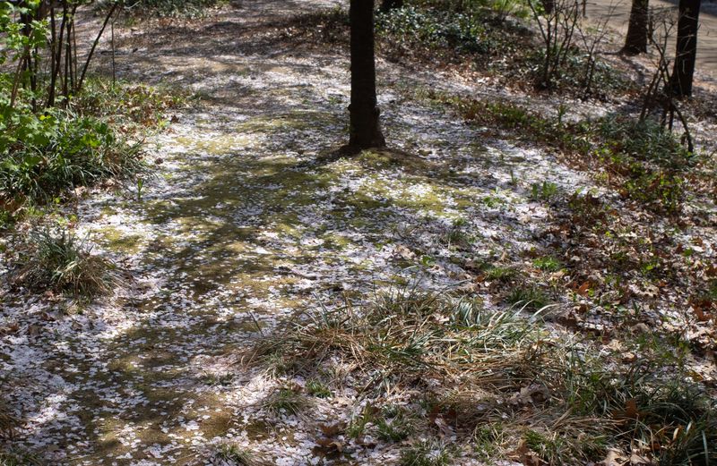 © Eunhye Na - Fragments align without touching, 2026