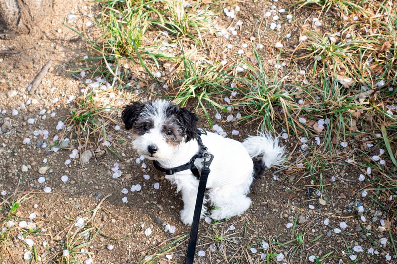 © Eunhye Na - Na Eun HyeThe First Spring (XIV), 2025Archival pigment printVariable dimensions