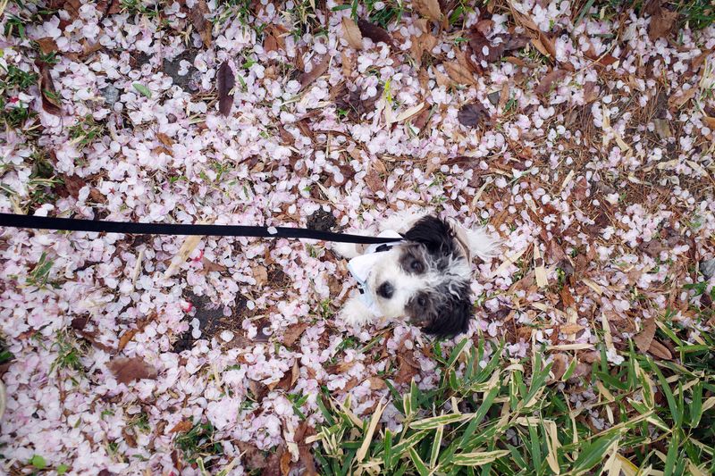 © Eunhye Na - Na Eun HyeThe First Spring (VIII), 2025Archival pigment printVariable dimensions