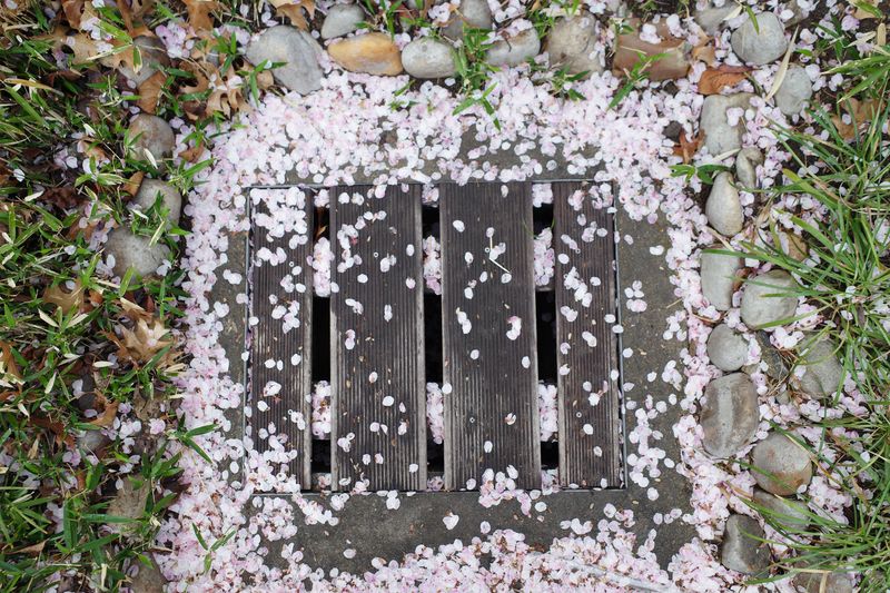 © Eunhye Na - Na Eun HyeThe First Spring (IX), 2025Archival pigment printVariable dimensions