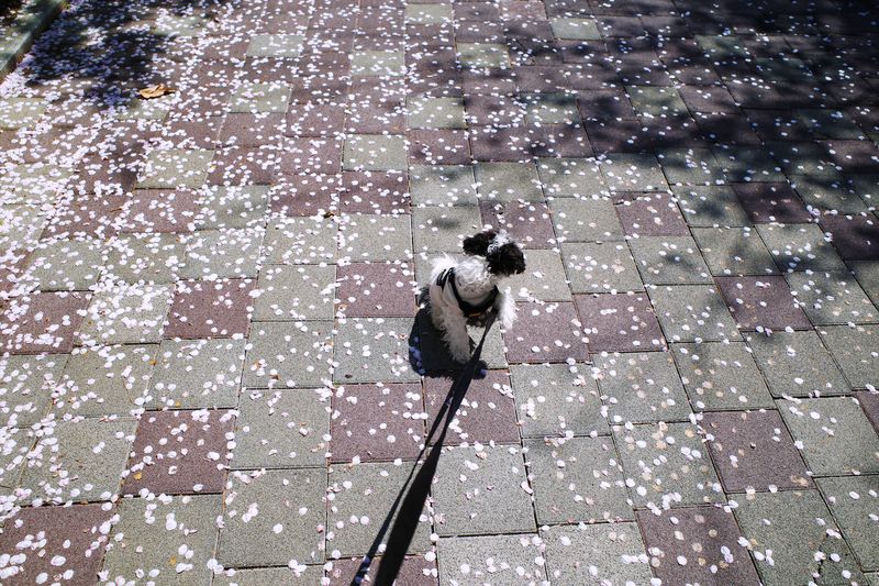 © Eunhye Na - Na Eun HyeThe First Spring (XVII), 2025Archival pigment printVariable dimensions