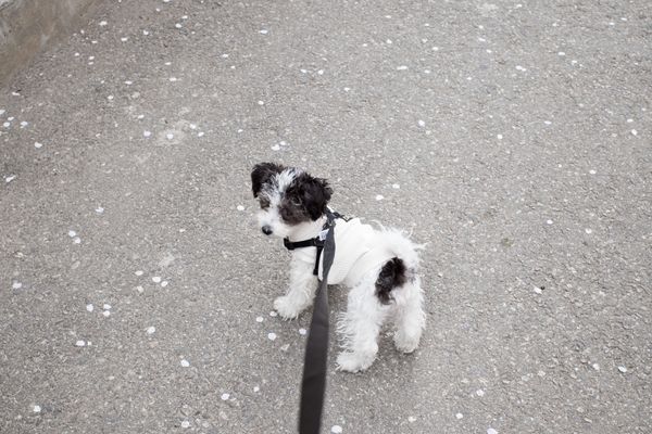 © Eunhye Na - Na Eun HyeThe First Spring (III), 2025Archival pigment printVariable dimensions