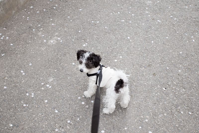 © Eunhye Na - Na Eun HyeThe First Spring (III), 2025Archival pigment printVariable dimensions