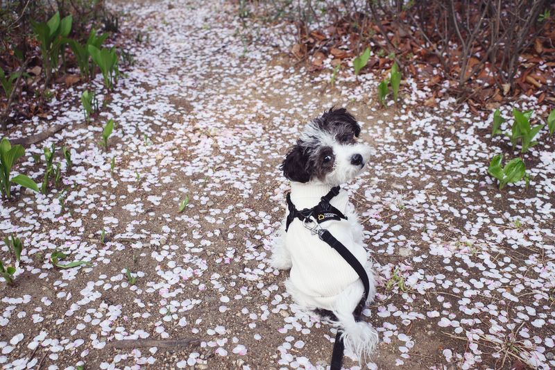 © Eunhye Na - Na Eun HyeThe First Spring (X), 2025Archival pigment printVariable dimensions