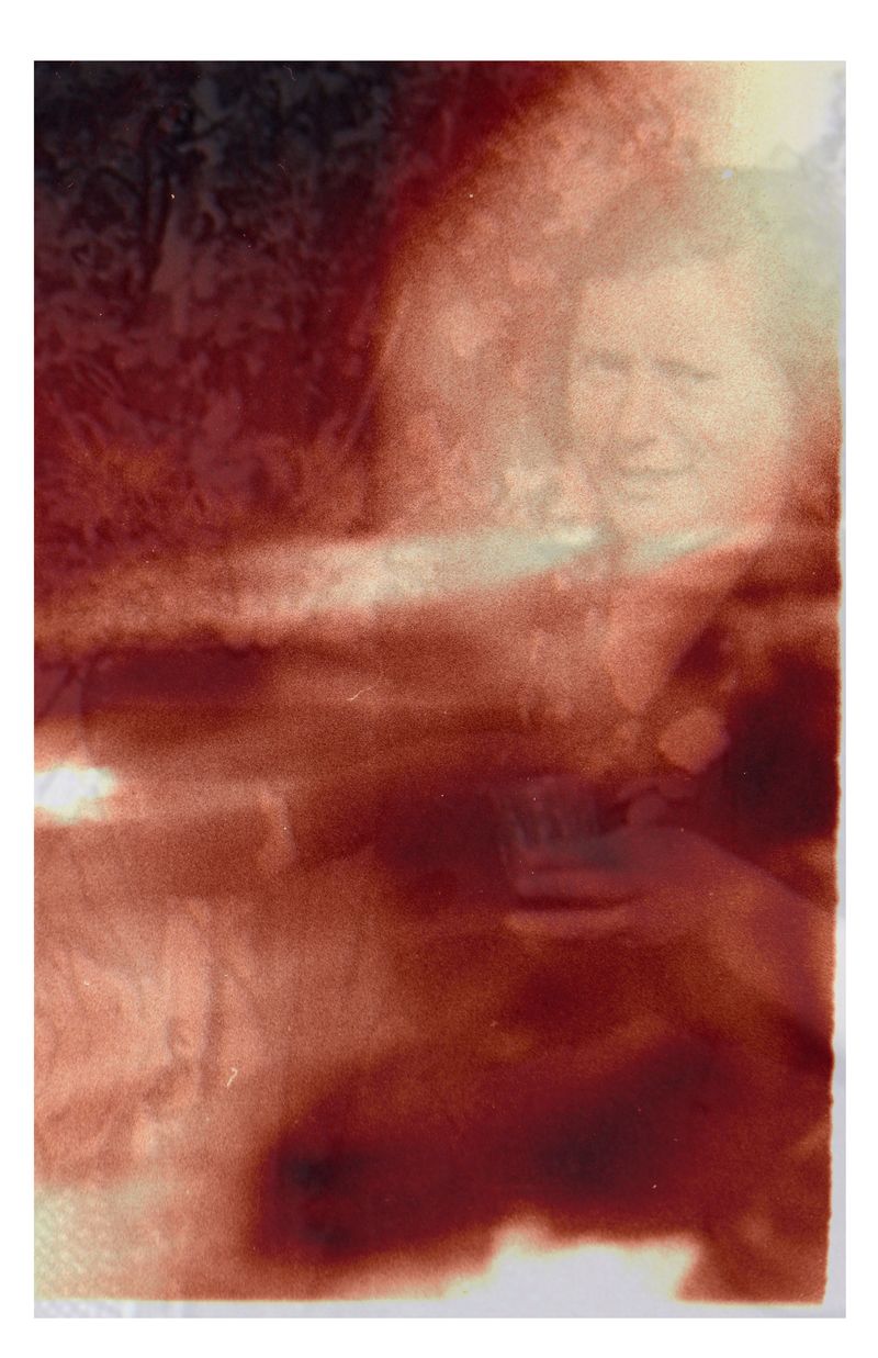 © Jocelyn Janon - Lucent - 10