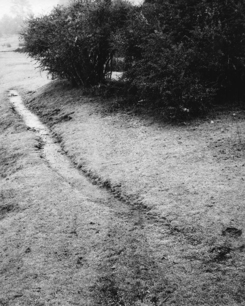 © Rodrigo Vergara - Image from the The Sea Once Reached Here photography project