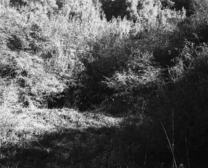 © Rodrigo Vergara - Image from the The Sea Once Reached Here photography project