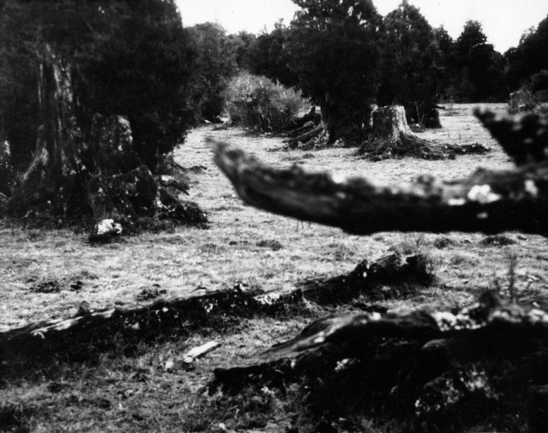 © Rodrigo Vergara - Image from the The Sea Once Reached Here photography project