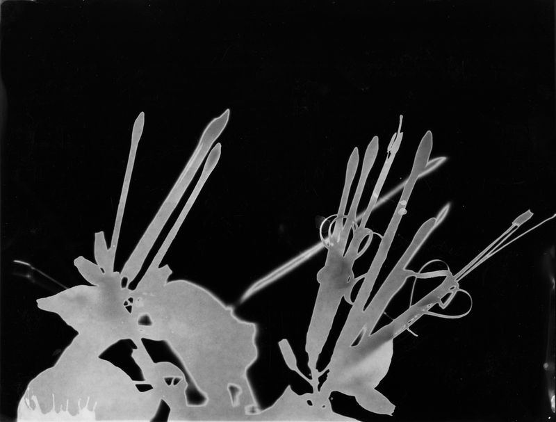 © Rodrigo Vergara - Image from the The Sea Once Reached Here photography project