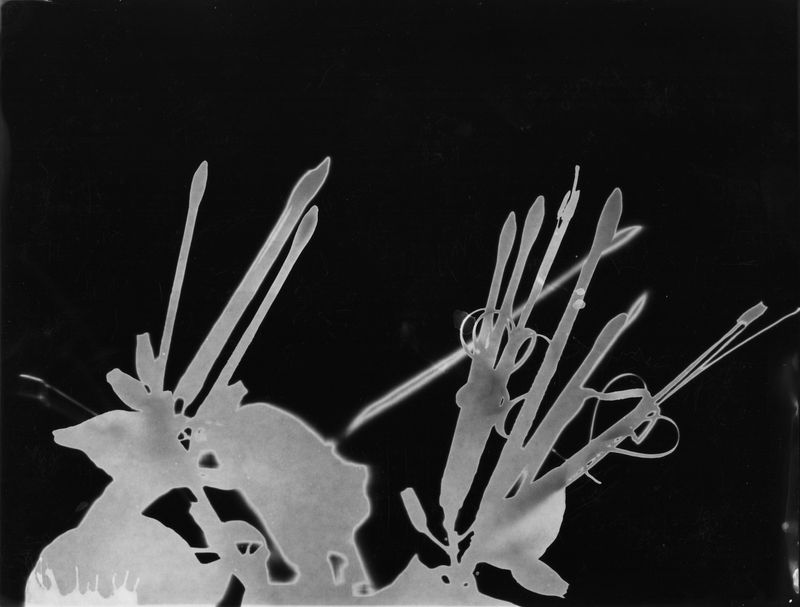 © Rodrigo Vergara - Image from the The Sea Once Reached Here photography project