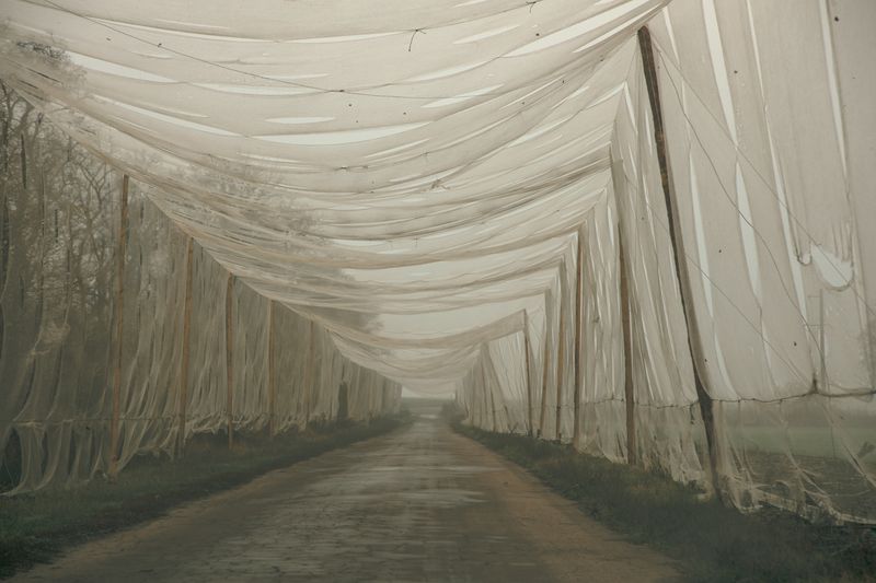 © Louis Lemaire-Sicre - Image from the Faultine photography project