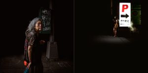 Nocturnal Creatures