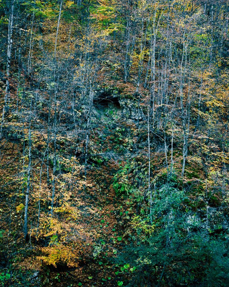 © Svetlana Bulatova - Image from the Forest ranger photography project