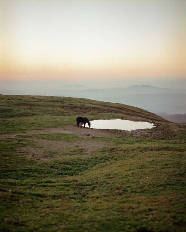 © Svetlana Bulatova - Image from the Forest ranger photography project