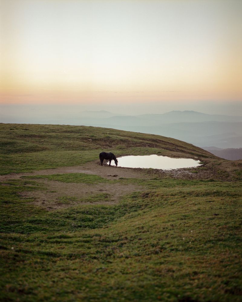 © Svetlana Bulatova - Image from the Forest ranger photography project