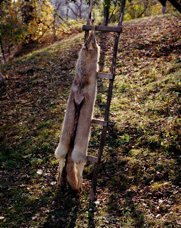 © Svetlana Bulatova - Image from the Forest ranger photography project