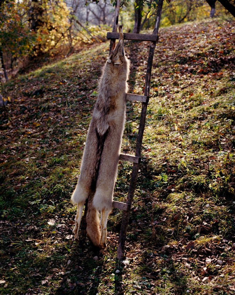 © Svetlana Bulatova - Image from the Forest ranger photography project