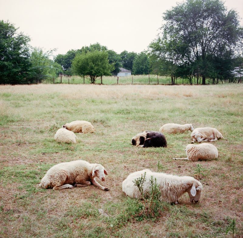 © Svetlana Bulatova - Image from the Archipelago photography project