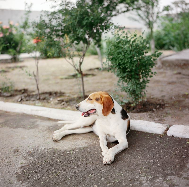 © Svetlana Bulatova - Image from the Archipelago photography project