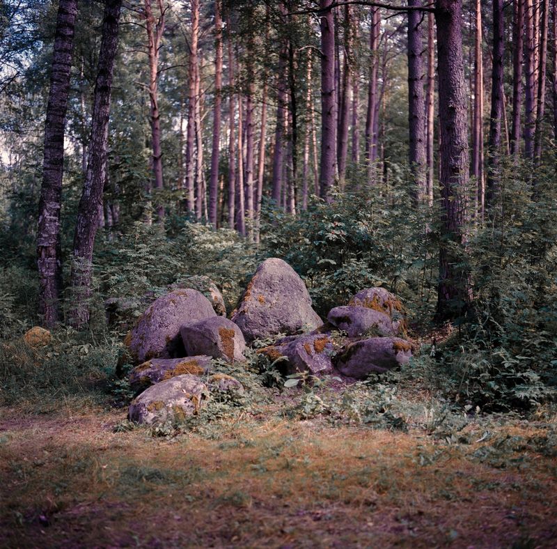 © Svetlana Bulatova - Image from the Summer camp photography project