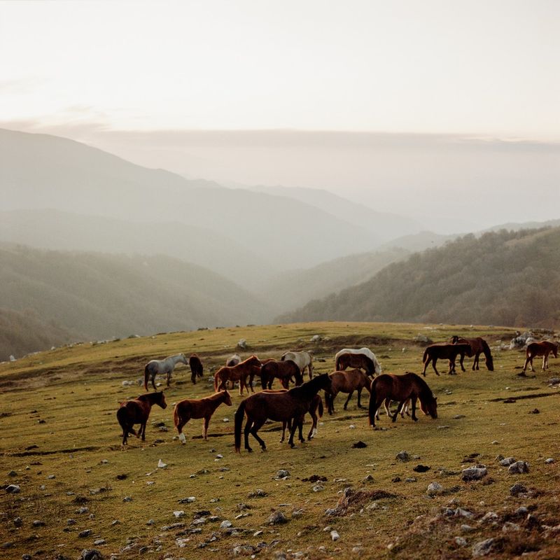 © Svetlana Bulatova - Image from the Nothing to fear photography project