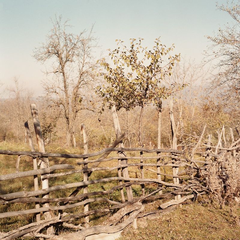 © Svetlana Bulatova - Image from the Nothing to fear photography project