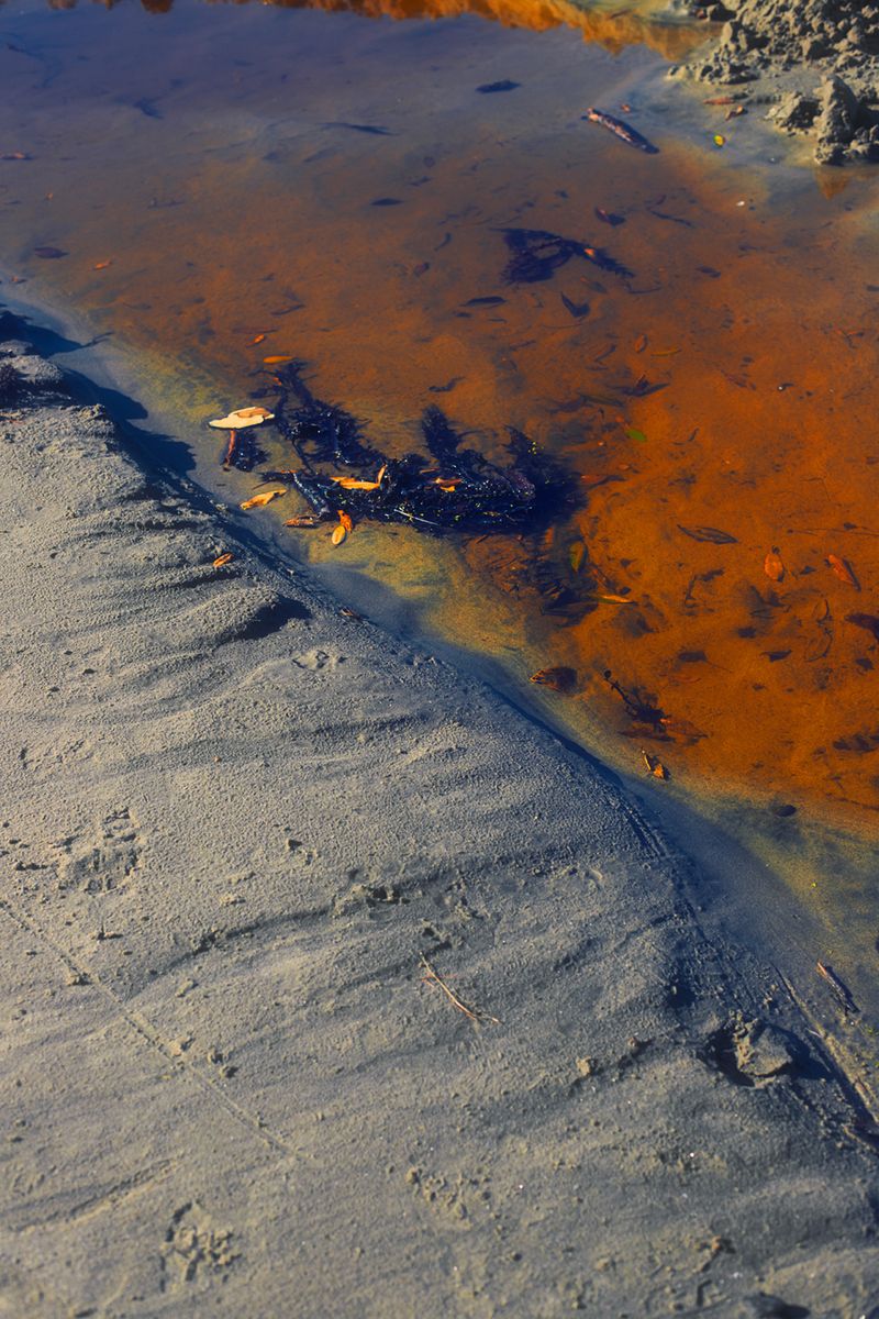 © Stephanie O'Connor - Image from the All stars stand close in summer air photography project