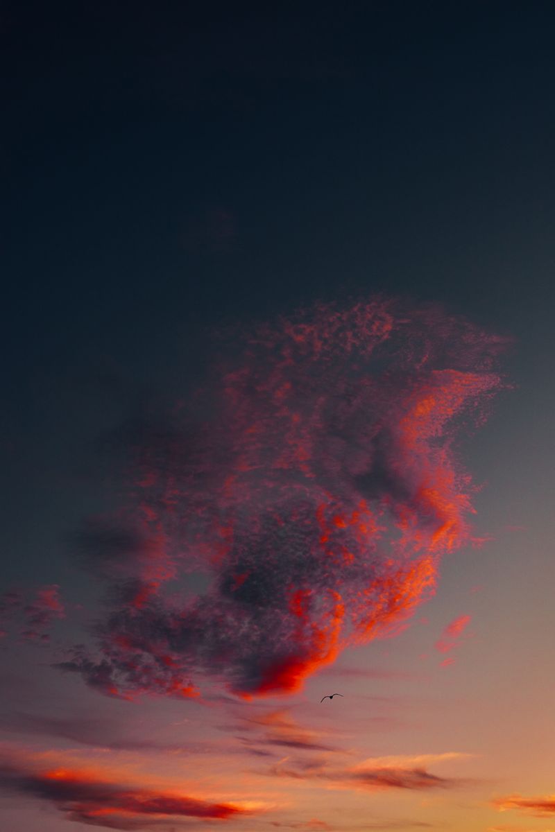 © Stephanie O'Connor - Image from the All stars stand close in summer air photography project