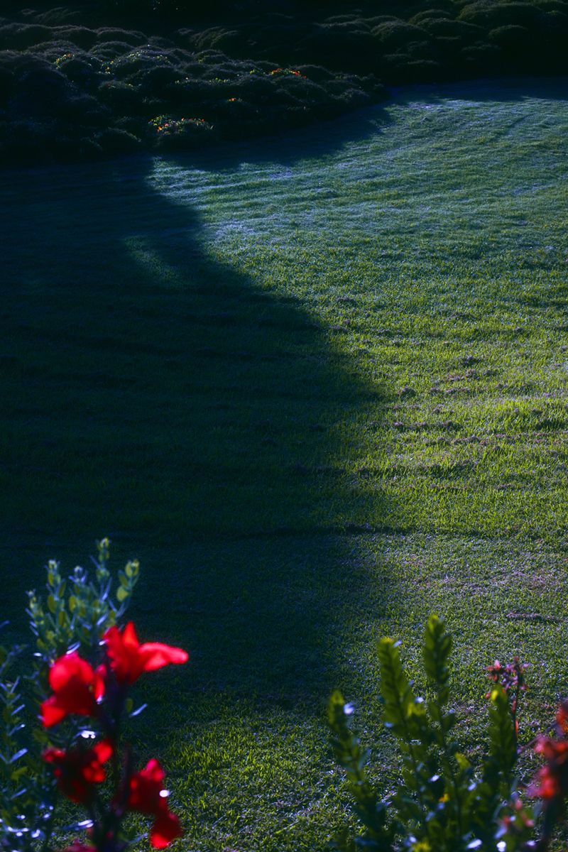 © Stephanie O'Connor - Image from the All stars stand close in summer air photography project