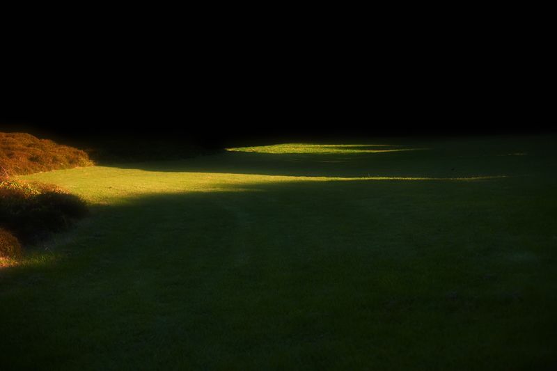 © Stephanie O'Connor - Image from the All stars stand close in summer air photography project