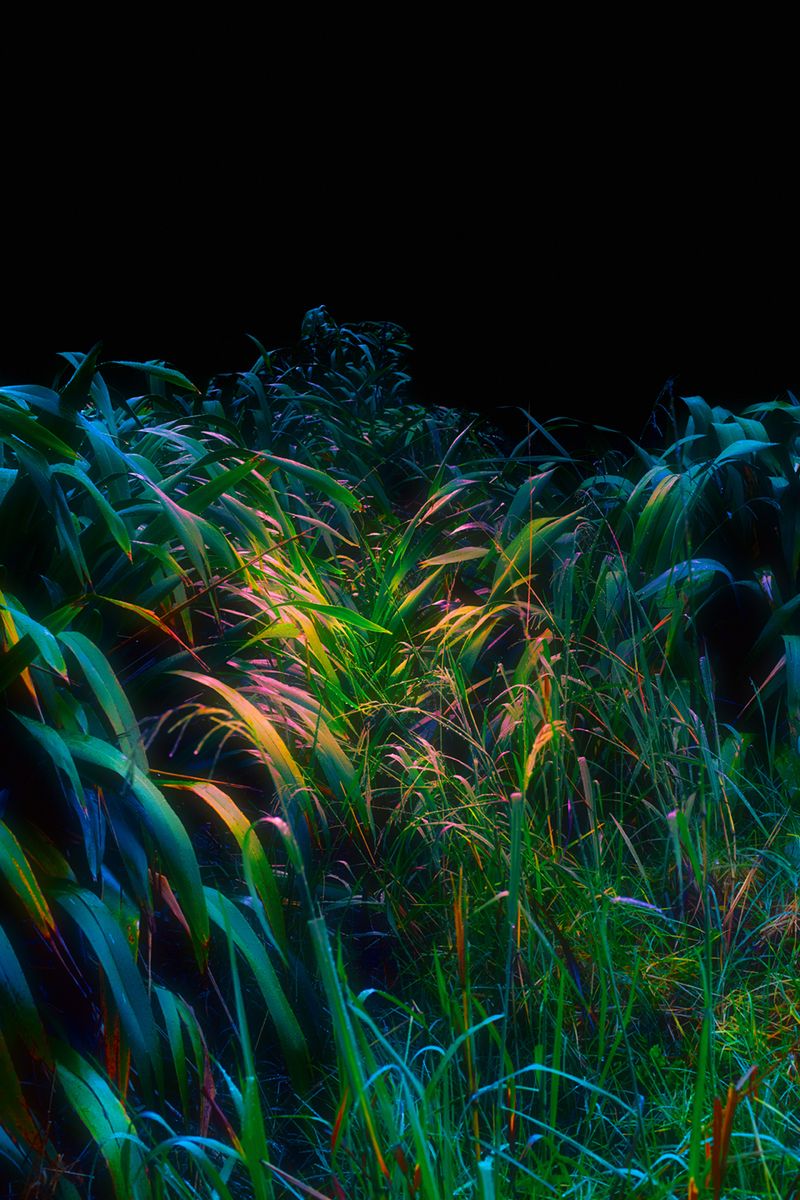 © Stephanie O'Connor - Image from the All stars stand close in summer air photography project